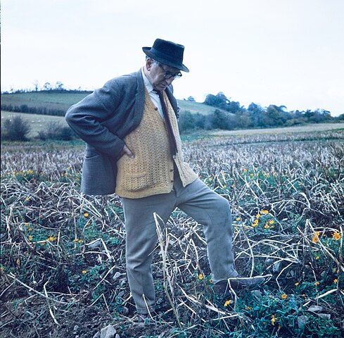 Irish Poets Patrick Kavanagh